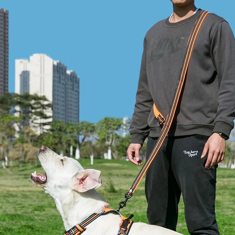 7-in-1 Multi-Function Dog Lead