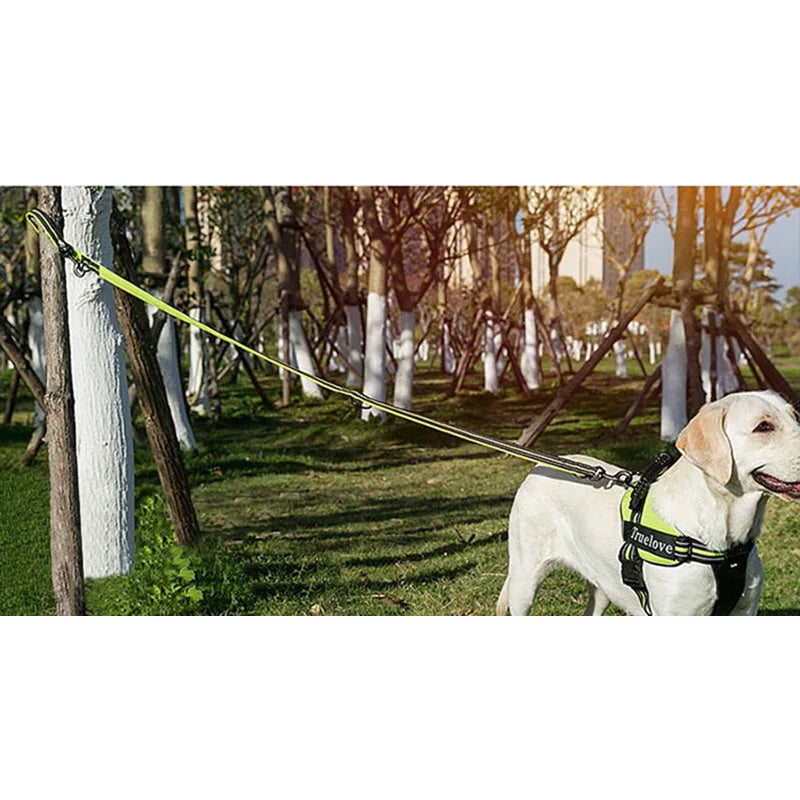 7-in-1 Multi-Function Dog Lead