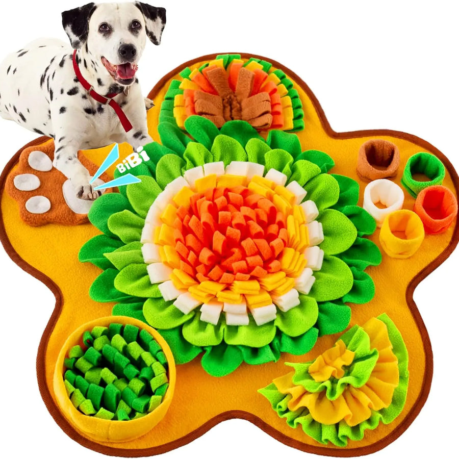 Interactive Snuffle Mat