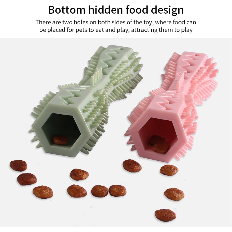 Dental Chew & Molar Toy