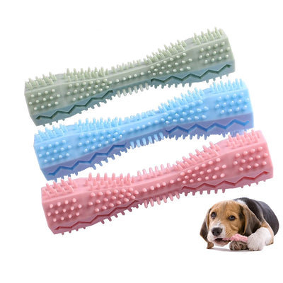 Dental Chew & Molar Toy