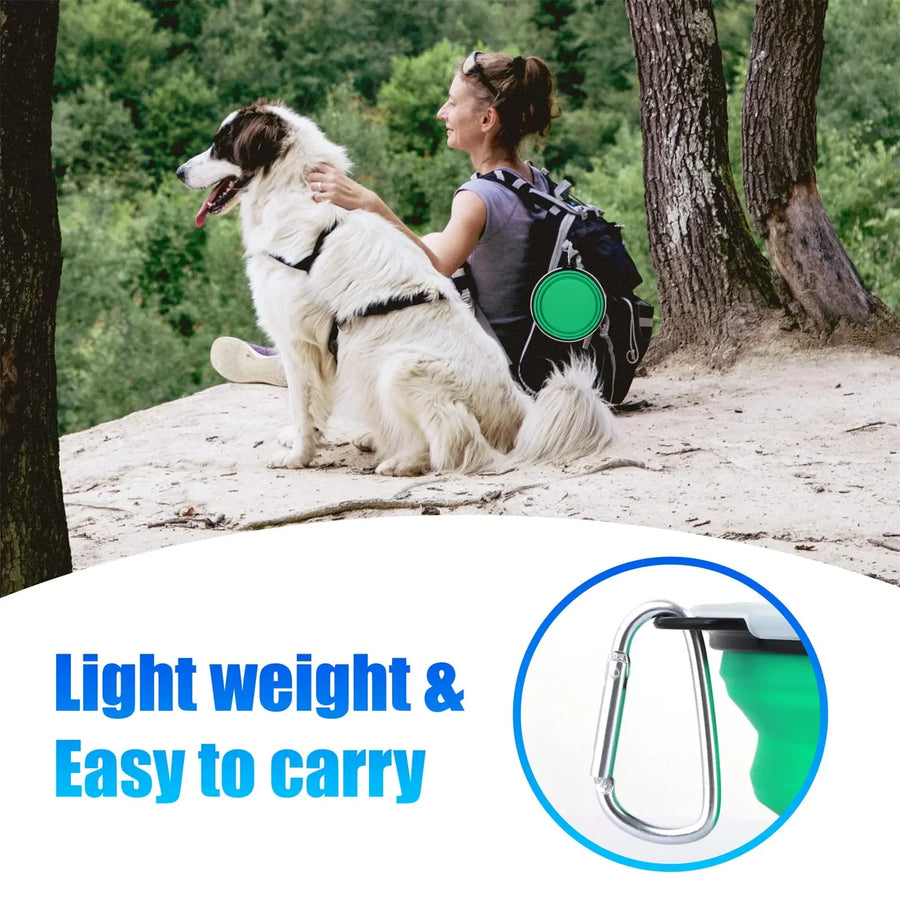 Foldable Silicone Travel Pet Bowl