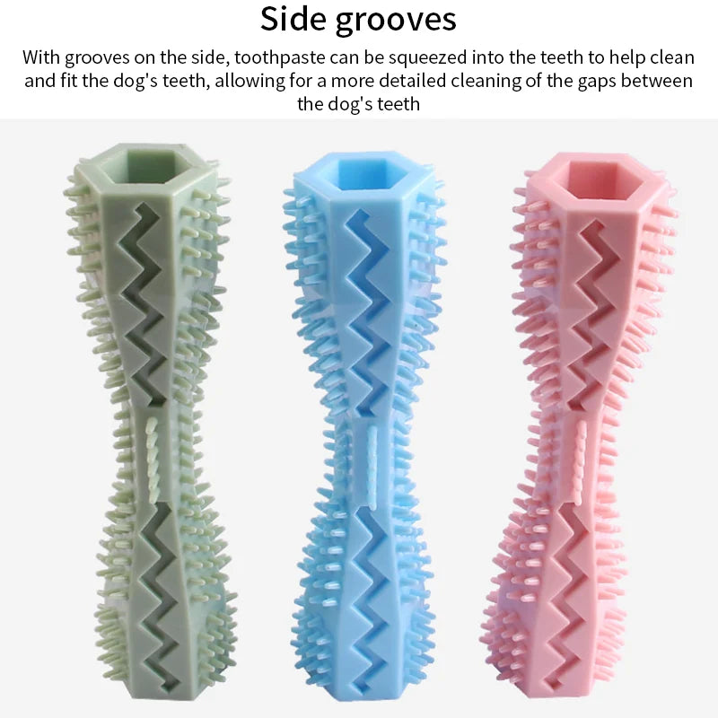 Dental Chew & Molar Toy