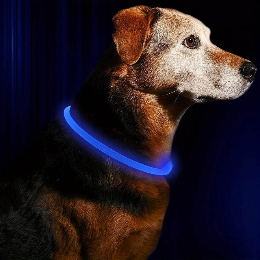 Rechargeable LED Safety Collar