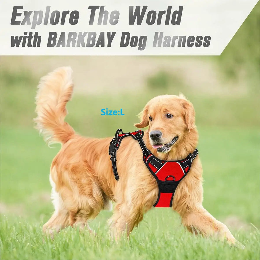 No-Pull Front-Clip Dog Harness
