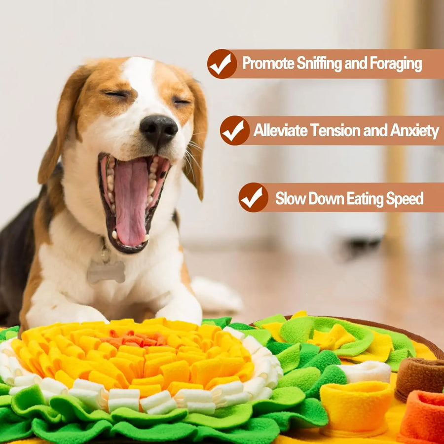 Interactive Snuffle Mat