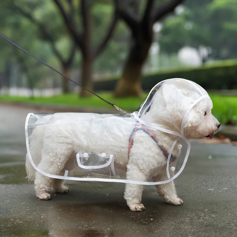 Transparent Waterproof Dog Raincoat