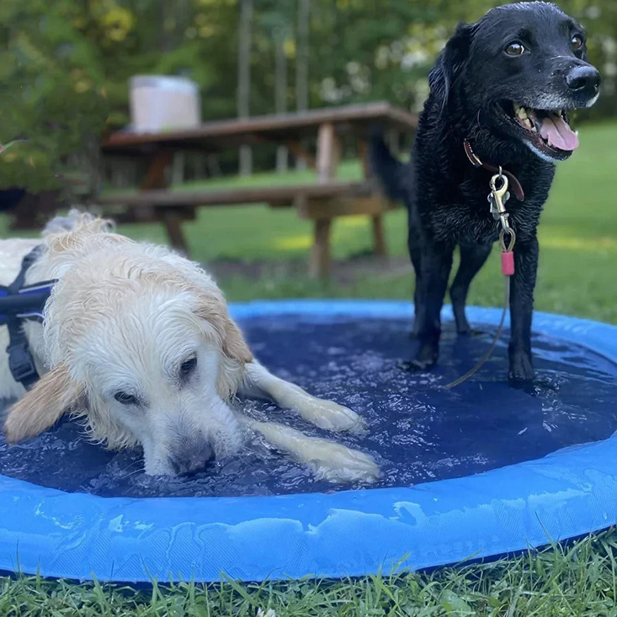 Inflatable Dog Splash Pool & Sprinkler