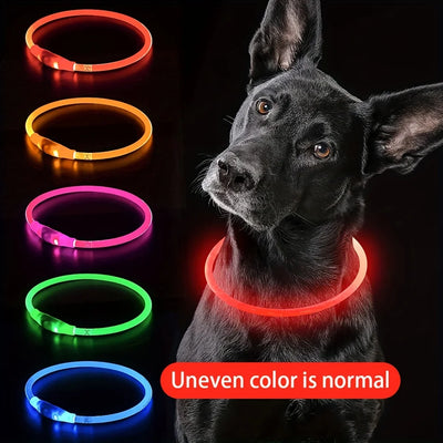 Rechargeable LED Safety Collar