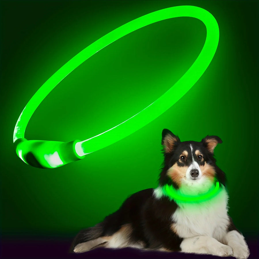 Rechargeable LED Safety Collar
