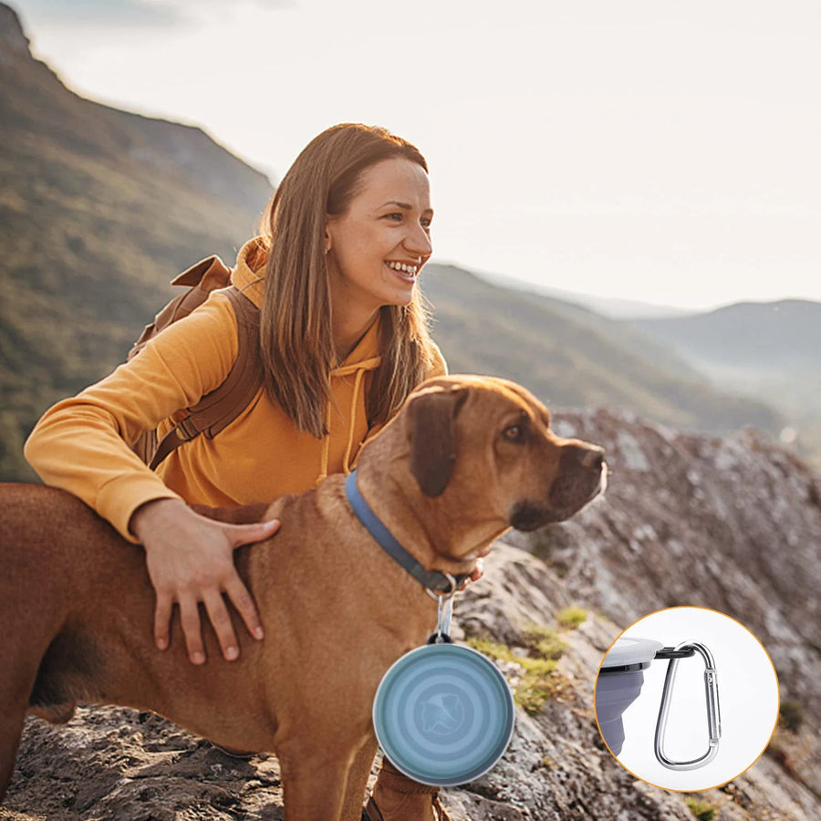 Foldable Silicone Travel Pet Bowl