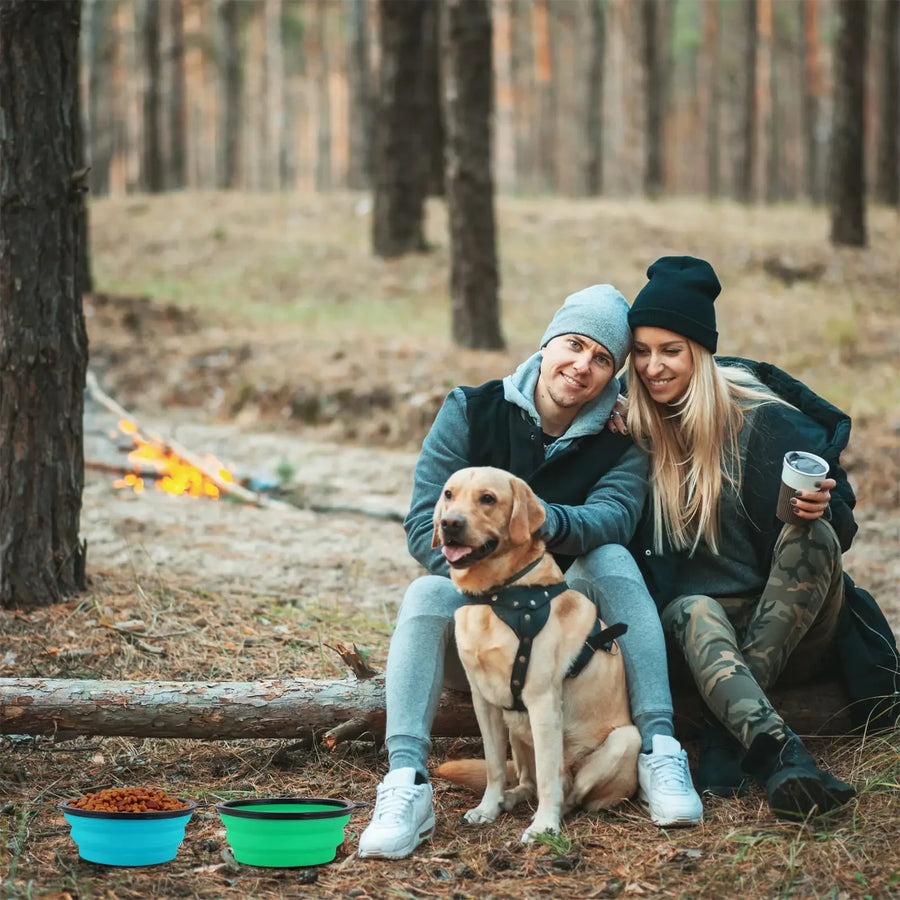 Foldable Silicone Travel Pet Bowl