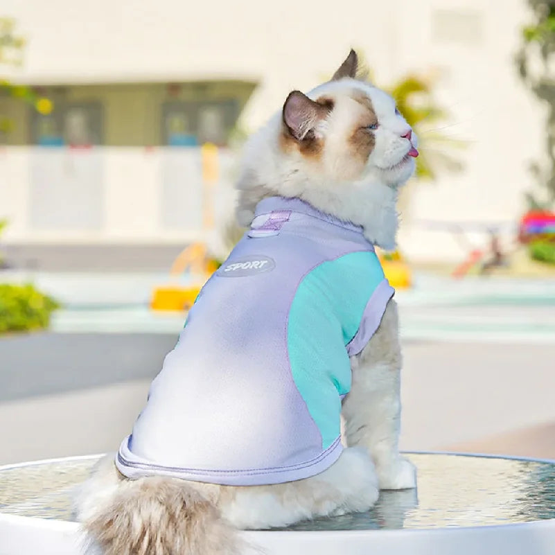 Breathable Dog Cooling Vest