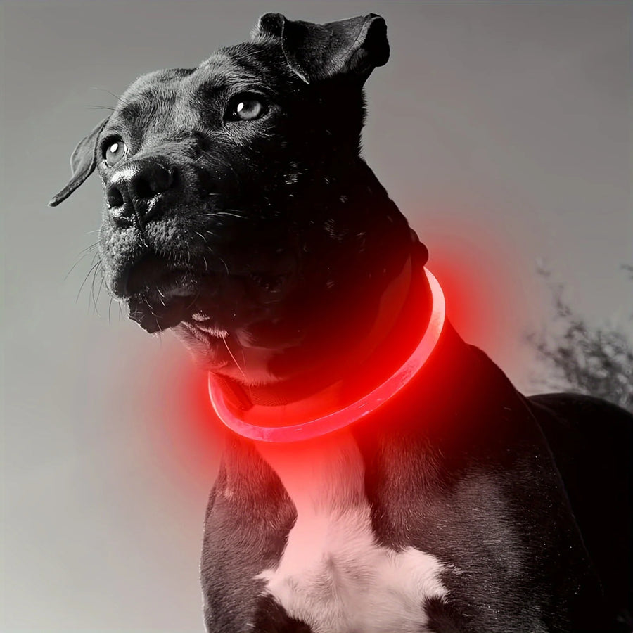Rechargeable LED Safety Collar