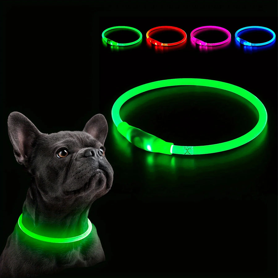 Rechargeable LED Safety Collar