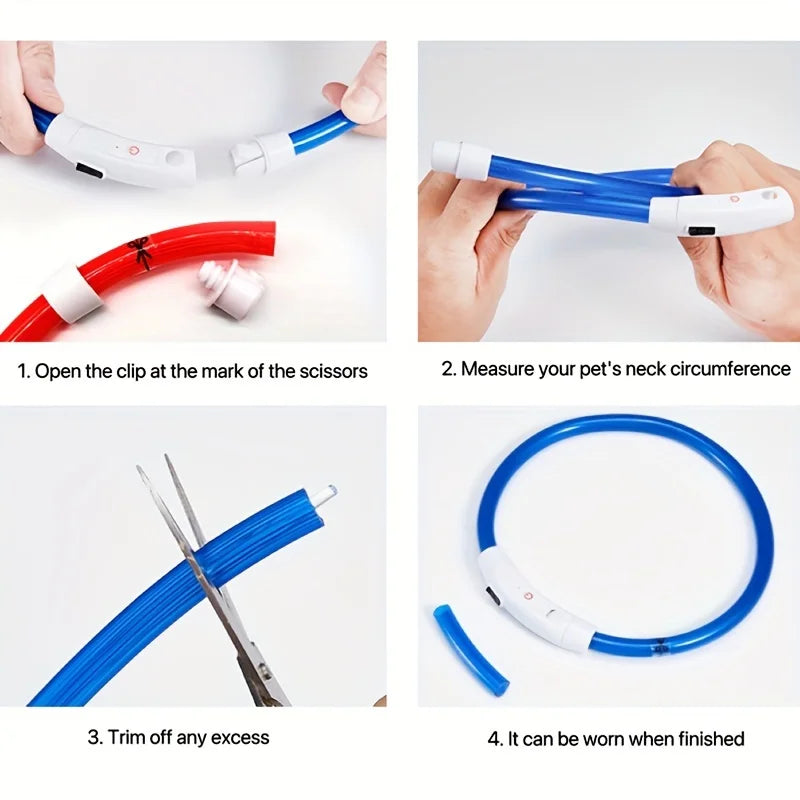 Rechargeable LED Safety Collar