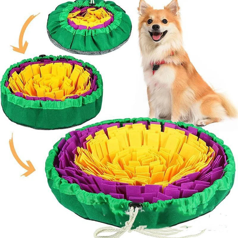 Interactive Snuffle Mat